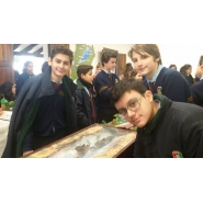Expomaquetas
